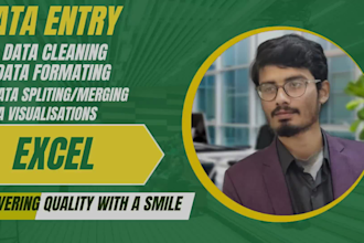 clean, format, arrange ,edit data in excel