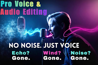 remove background noise, wind, echo from a video or audio file