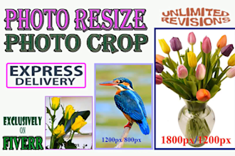 resize bulk images cropping, photo editing, resizing logo and background removal