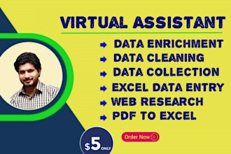do low price excel data entry, cleaning, appending enrichment, data collection