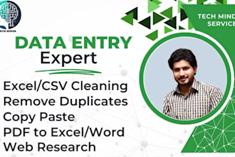 do excel data entry, remove duplicates, web research, copy paste, PDF to excel