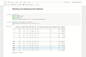 do data cleaning, visualization and machine learning project in jupyter notebook