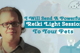 send a powerful reiki healing session to your pets