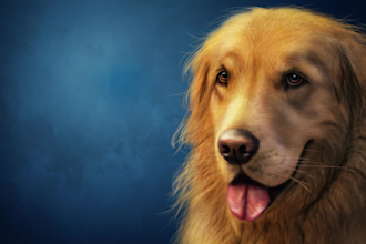 create a custom dog portrait in realistic oil painting style