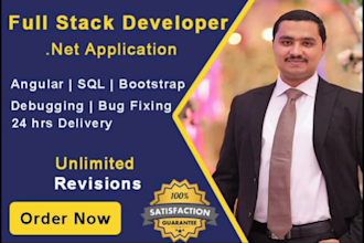 build asp dot net core, dot net mvc web applications with sql server