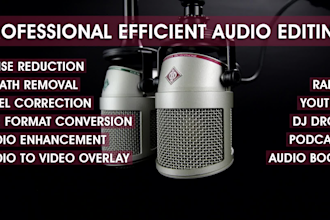 professionally edit clean and fix your audio