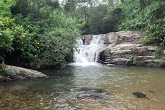 film exclusive original real nature 4k videos for youtube