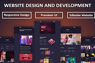 design and develop a professional wordpress website and blog