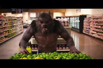 integrate cgi realistic 3d animal animation, 3d animal model fur and rigging vfx