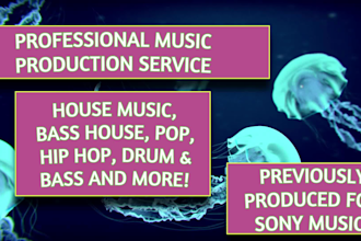 be your platinum record music producer