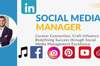 linkedin social media manager, create and post content
