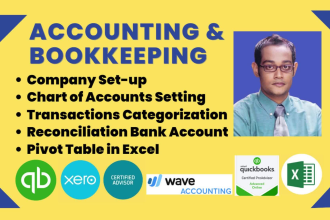 do bookkeeping accounting  quickbooks online xero excel wave