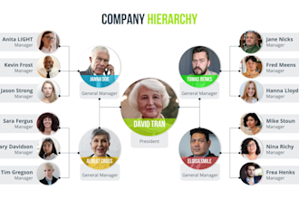 make modern org chart, organogram or organizational structure