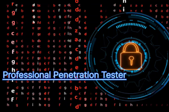 manually test your website for vulnerabilities and security risks