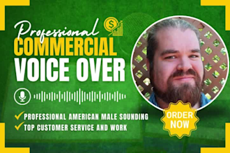 record a professional american male commercial voice over