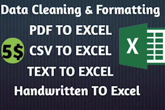 convert PDF, CSV, txt data into the excel