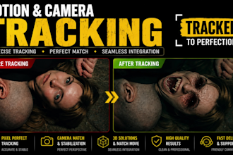 do camera tracking, motion tracking, and matchmoving