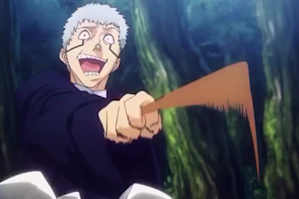 do 2d japanese anime and 2d fighting anime
