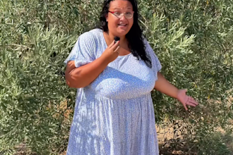 create plus size ugc in german or greek