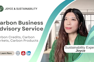 provide advice to carbon related business, carbon credits, and carbon markets