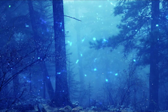 create meditation relaxing music video for meditation yoga nature video