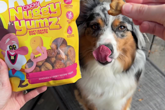 creat dog ugc videos for your pet product and or serivce