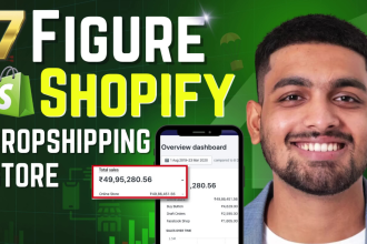 build an automated dropshipping shopify store or shopify website