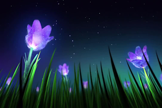provide meditation music videos