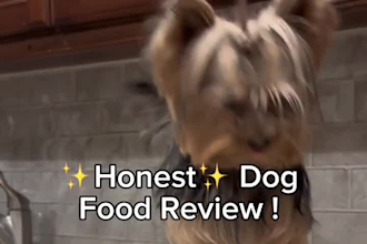 be your pet ugc creator for dog products apps and pet services video ads
