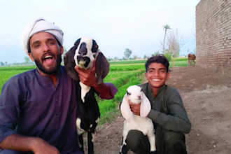 wish happy birthday video or happy birthday