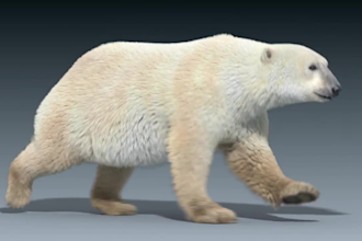 render realistic 3d animal animation, character design, vfx, cgi, xgen hair fur