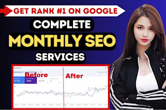 provide monthly SEO service to rank websites on google