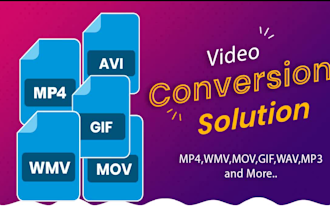 convert video to mp4 mov wmv GIF avi flv mp3 or any other video formats