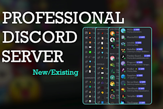 set up professional custom discord server