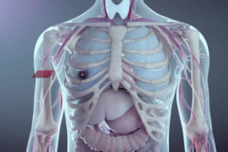 do 3d medical animation, biotech immunotherapy moa animation, 3d pharmaceutical