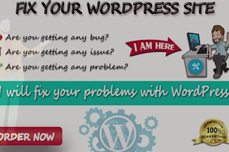 help to fix wordpress issues, bugs, errors, or problem