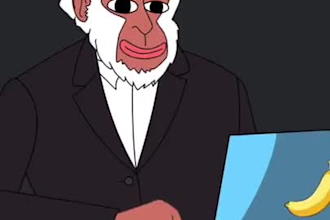 2d meme art video, memecoin animation, viral meme video, solana meme, crypto art