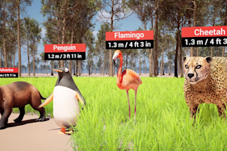 make high quality 3d comparison video for youtube