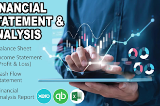 prepare financial statement, profit and loss, balance sheet, financial forecast
