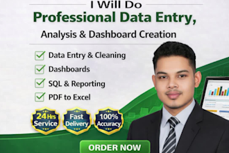 data entry, excel data analysis, dashboard, data cleaning, and PDF to excel