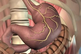 create 3d medical animation medical explainer video medical animation video