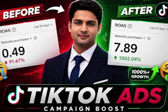 setup and manage tiktok ads, dropshipping ads as a tiktok ad manager