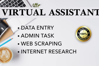 be your professional virtual assistant