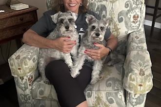 create pet ugc video ads for tiktok facebook or instagram