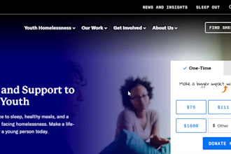 nonprofit, charity, 501c3, ngo, donation, non profit website on wordpress, wix