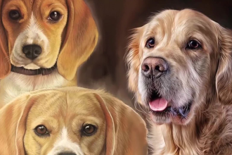 draw realistic portrait of your cat, dog, bird or any pets