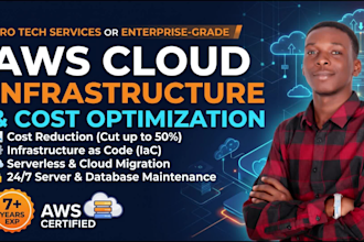 do AWS cloud infrastructure and cost optimization