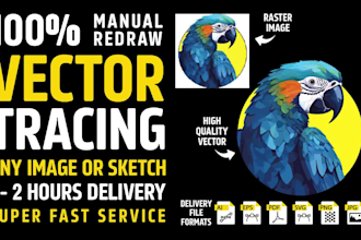 do manual vector tracing and convert image to vector vectorize image