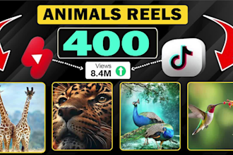 create 400 animal and birds youtube shorts and instagram reels, tiktok
