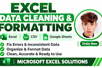 clean, organize, and format excel or google sheets data